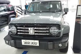 坦克300城市版和越野版有什么区别视频封面