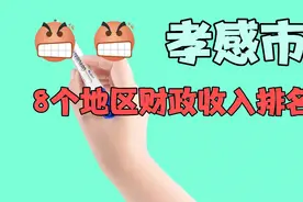 湖北省孝感市8个地区财政收入排名视频封面