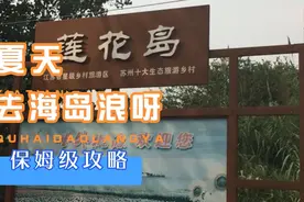 陈姐在苏州，打卡阳澄湖莲花岛。一座以养殖大闸蟹为业的小岛视频封面