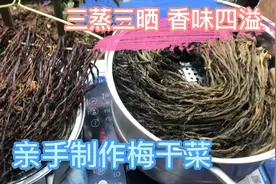 分享亲手制作梅干菜的过程视频封面
