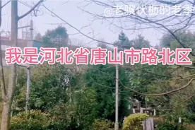 这是咋了？唐山一蛋糕店老板实名举报黑社会团伙又冲上热搜！视频封面