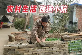 自己动手低成本改造小院，围建一个小菜园，以后就可以自给自足啦视频封面