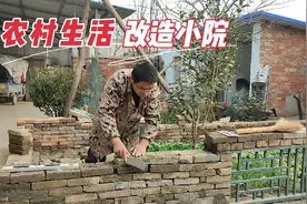 自己动手低成本改造小院，围建一个小菜园，以后就可以自给自足啦视频封面
