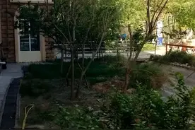 春天，大自然的声音视频封面