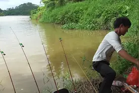 被蛇吓到掉水里是什么体验，我只可以说，又是愉快的一天