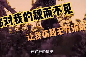 你对我的视而不见，让我痛到无力诉说。视频封面