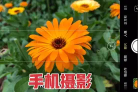 花朵怎么拍摄技巧？新人如何自学手机摄影，这本书轻松教你拍大片视频封面