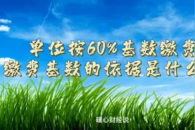 单位总是按照60%基数交社保，缴费基数的依据是什么？视频封面