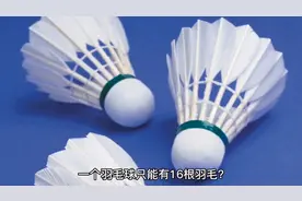 一个羽毛球由几根羽毛组成，你知道吗？
