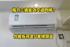 格力三级能效空调怎么样？外机拆开居然是单排，不过还是有优点视频封面