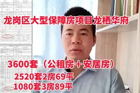 真给力！龙岗区大型保障房项目龙栖华府，3600套含公租房和安居房视频封面