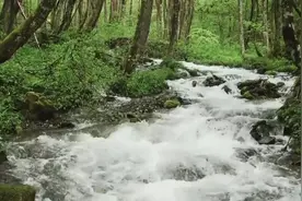 冥想音乐，迅速打开脉轮，消除焦虑、烦躁，找回平静感觉