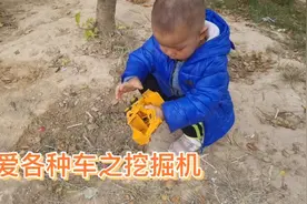 两岁宝宝酷爱各种车，在野外用挖掘机挖土盖高楼，哈哈😊视频封面