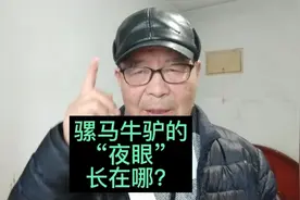 骡马牛驴的“夜眼”长在哪？听俺唠点小常识，不知是否正确？