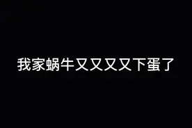 蜗牛真是雌雄同体！蜗牛真是繁殖很快！我服了！彻底服了！视频封面