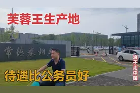 实拍湖南常德卷烟厂，芙蓉王香烟生产地，员工待遇比公务员还好视频封面