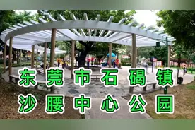 东莞市石碣镇，沙腰湾中心公园的内部风景，喜欢的朋友们去看看视频封面