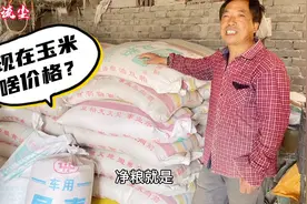 河南玉米一天一个价，大叔赶紧储备两吨玉米，兵马未动 粮草先行视频封面