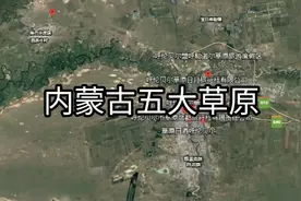 内蒙古五大草原，各个景色优美，你去过几个？视频封面