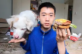 和狗子一起吃肯德基，炸鸡汉堡包套餐，非常享受，狗子有点胖了