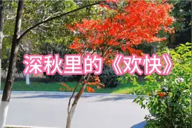 竹笛独奏《欢快》送给朋友们，希望友友们都高兴快乐！视频封面