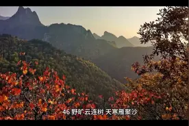 赞美老人经典语录4视频封面