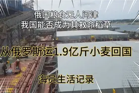 俄国粮食无人问津，从俄罗斯运1亿9000万斤小麦回国，海员生活视频封面
