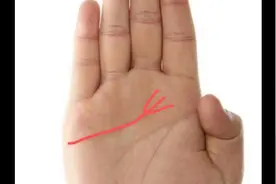 感情线（下篇）视频封面