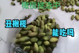 花皮丑橄榄能吃吗？你看了这个视频就知道啦