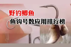野钓鲫鱼你用几号钩？鱼钩号数应用排行榜视频封面