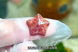 我要养忍者神龟了！视频封面