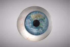 青光眼导致失明的原理，3D演示。。