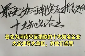 最先为河南灾区捐款的十大知名企业，大企业大承担，为他们点赞视频封面