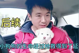 被人抛弃在垃圾桶里面的小狗狗，经过抢救成功的出院了视频封面