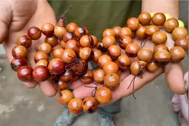 经过一波三折雷击木手串横空出世，12颗天雷珠合二为一，太完美了视频封面