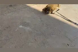 @抓住未来吧 见他点下