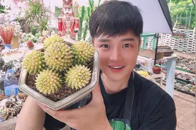 多肉植物可以放在室内养护吗？正确的养护方法教给你！视频封面