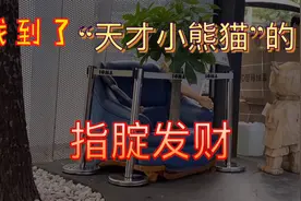 找到了天才小熊猫的“指腚发财”，太意外太开心啦