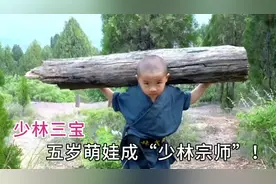 河南三岁小萌娃拜师少林寺，苦练武术和王宝强切磋，高手在民间！视频封面
