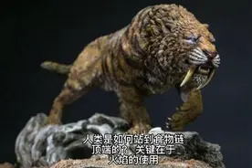 人类是如何站到食物链的顶端的？