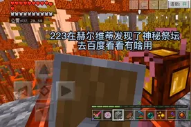 虚无世界223:在赫尔维蒂发现了神秘祭坛，可以召唤BOSS视频封面