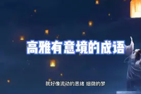 【成语合集】高雅有意境，值得品味的成语视频封面