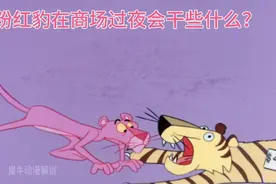 假如让你在下了班的商场过夜，你会做些什么，来看看粉红豹做什么视频封面