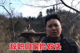小伙辞去每天十二个小时的工作回家专职捡石头，没想到第一月就赚视频封面