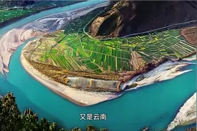 云南拍到5米大蟒蛇，推测有30年蛇龄，遇到蟒蛇能打不？视频封面