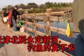 天津北辰永定新河，好多人围着钓鱼，周末游玩的好地方视频封面