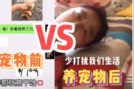 父母不让养宠物大型真香现场！你只管把我带回家，剩下的交给我！视频封面