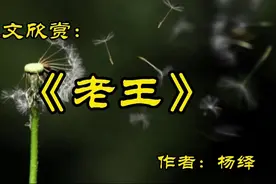 名家散文欣赏：杨绛《老王》视频封面