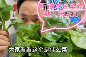 听说木耳菜对糖人很友好！糖人吃260克，吃前血糖4.9，看吃后多少