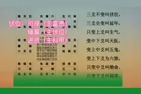 大游年视频封面